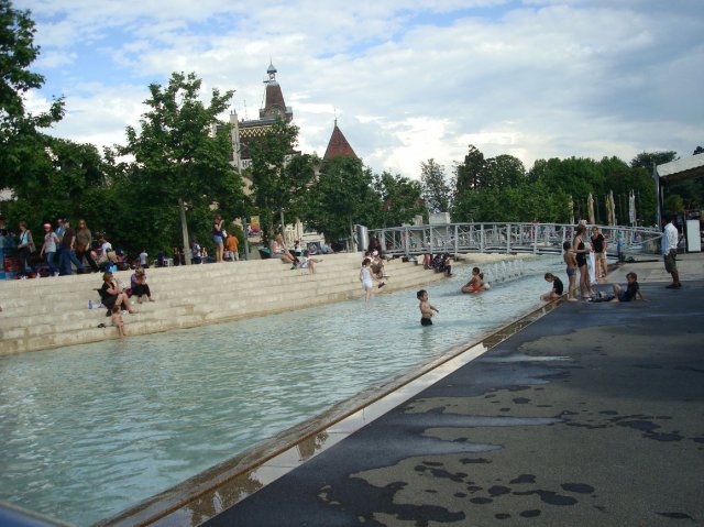 lausannepen_2011 50